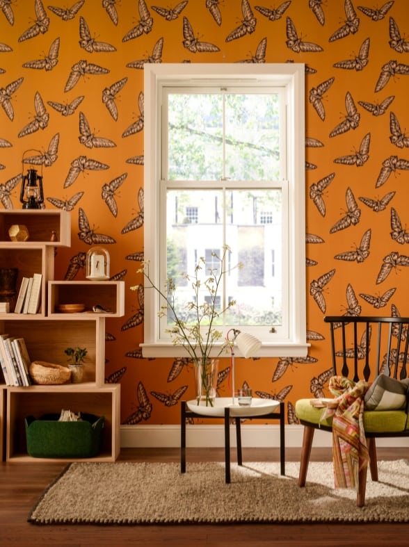 Sliding sash window scene with orange wallpaper