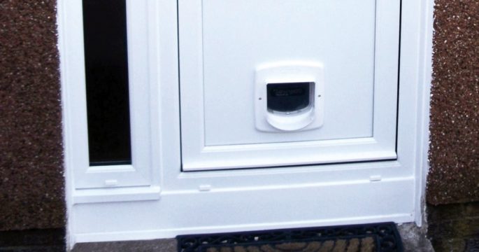 455-cat-flap-1