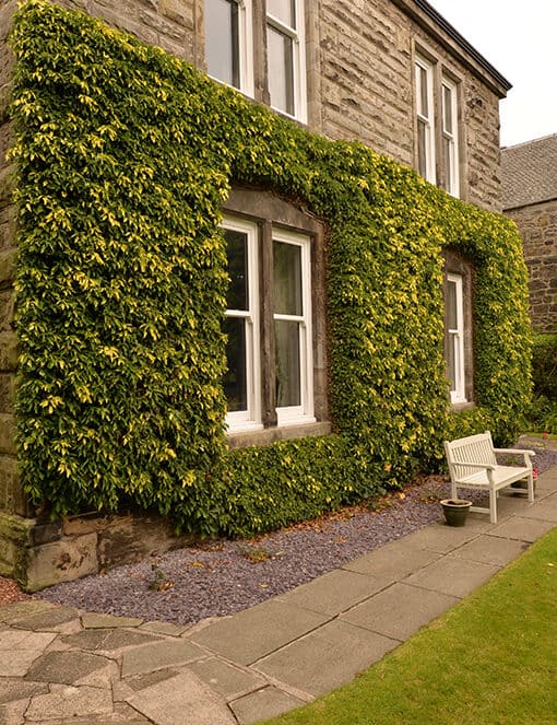 External view of home with white sliding sash windows