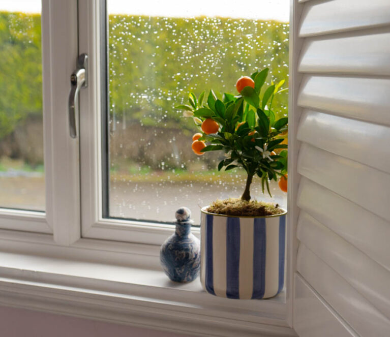 White casement window with white window sill and potted plant