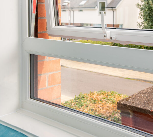 Kingdom group after 002